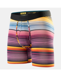 Men's Stance Curren Wholester Briefs