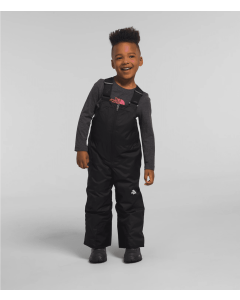 Toddler Boy's North Face Freedom Insulated Bib