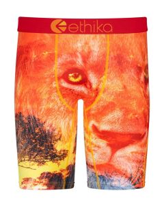 Men's Ethika Kotj Staple Briefs