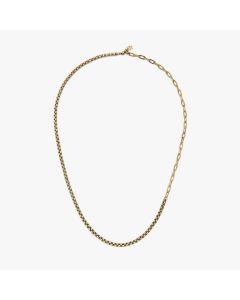 Men's Pura Vida Rolo Chain Necklace
