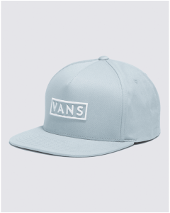 Mens Vans U Easy Box Snapback