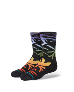 Youth Stance Palmer Crew Sock