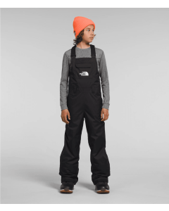 Youth Boy's North Face Freedom Insulated Bib