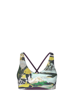 Women's North Face Dune Sky Valley Shine Bra