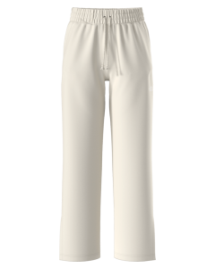 Women's North Face Evolution Pant