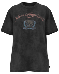 Women's Vans Palm Impresa Oversized Short-Sleeve Tee