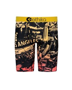 Youth Boy's Ethika La Living Briefs
